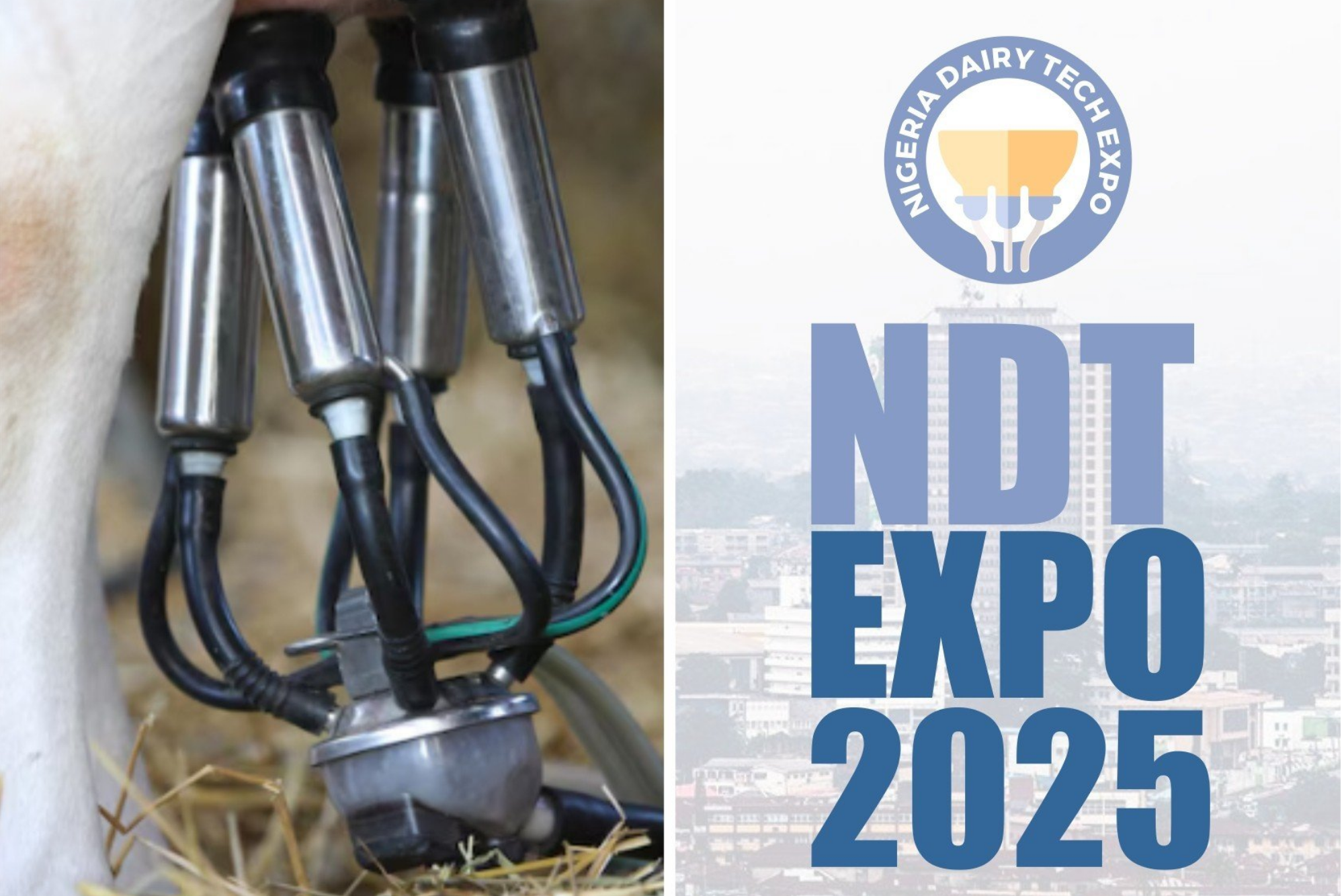 Nipoli Expo 2025 | Ndtech 1