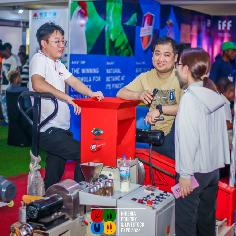 nipoliexpo21